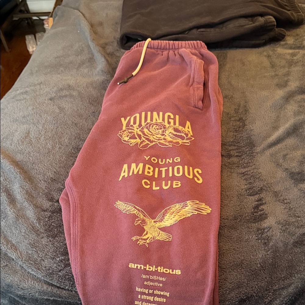 Youngla immortal  Joggers - mauve
